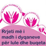 ALBANIA FLOWER SHOP